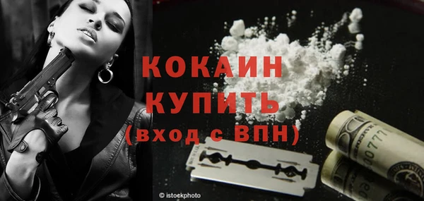 ПСИЛОЦИБИНОВЫЕ ГРИБЫ Гусь-Хрустальный