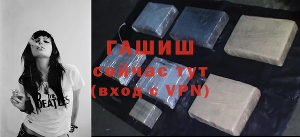 apvp Гусев
