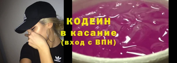 ПСИЛОЦИБИНОВЫЕ ГРИБЫ Гусь-Хрустальный