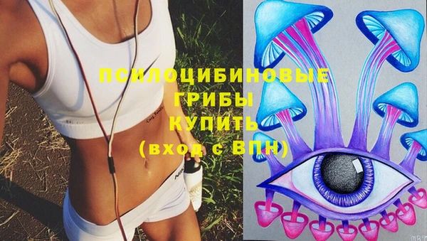 apvp Гусев