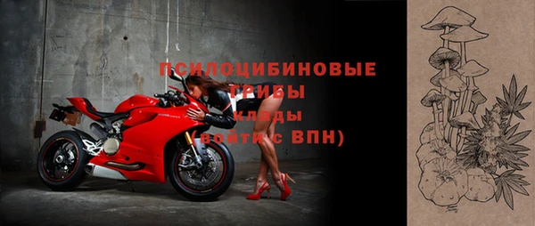 ПСИЛОЦИБИНОВЫЕ ГРИБЫ Гусь-Хрустальный