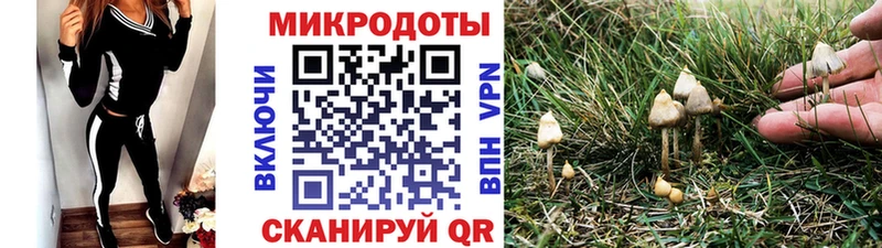 Купить где  Ядрин  Галлюциногенные грибы ЛСД 